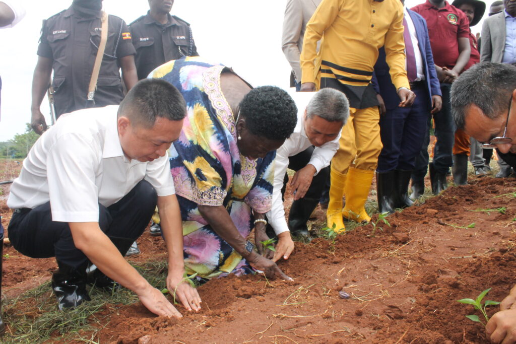 Rt. Hon. Rebecca Kadaga planting Chili with the Chinese agricultural experts in Balawoli Kamuli District