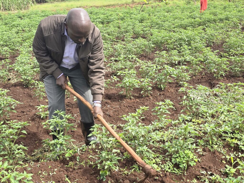 The Director General Mula Anthony during the Chili and Soybean Farm Tour in Busoga 